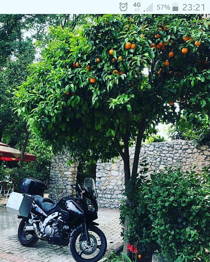דורס Hotel Ceka מראה חיצוני תמונה